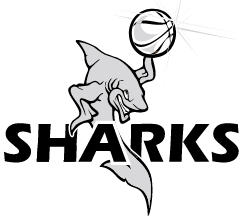 sharksbasketball_blindinglights_invercargill_videophotography