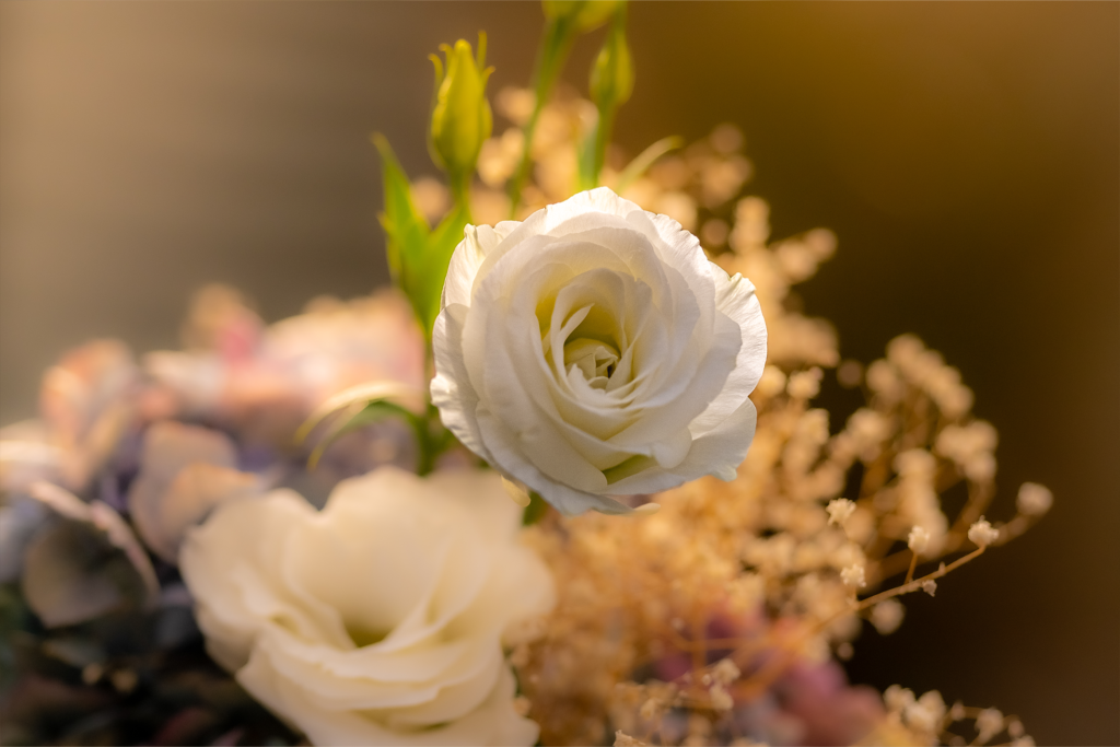 Wedding Florest Photographer Blinding Lights Invercargill
